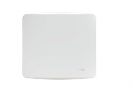 PLACA MILUZ CEGA 4X4 BRANCO               S3B77400