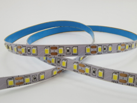 FITA LED 12V 12W/M TASCHIBRA 6500K 5MTS IP65