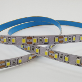 FITA LED 12V 12W/M TASCHIBRA 6500K 5MTS IP65